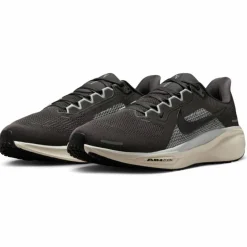 Pegasus 41 Road Herren Laufschuhe