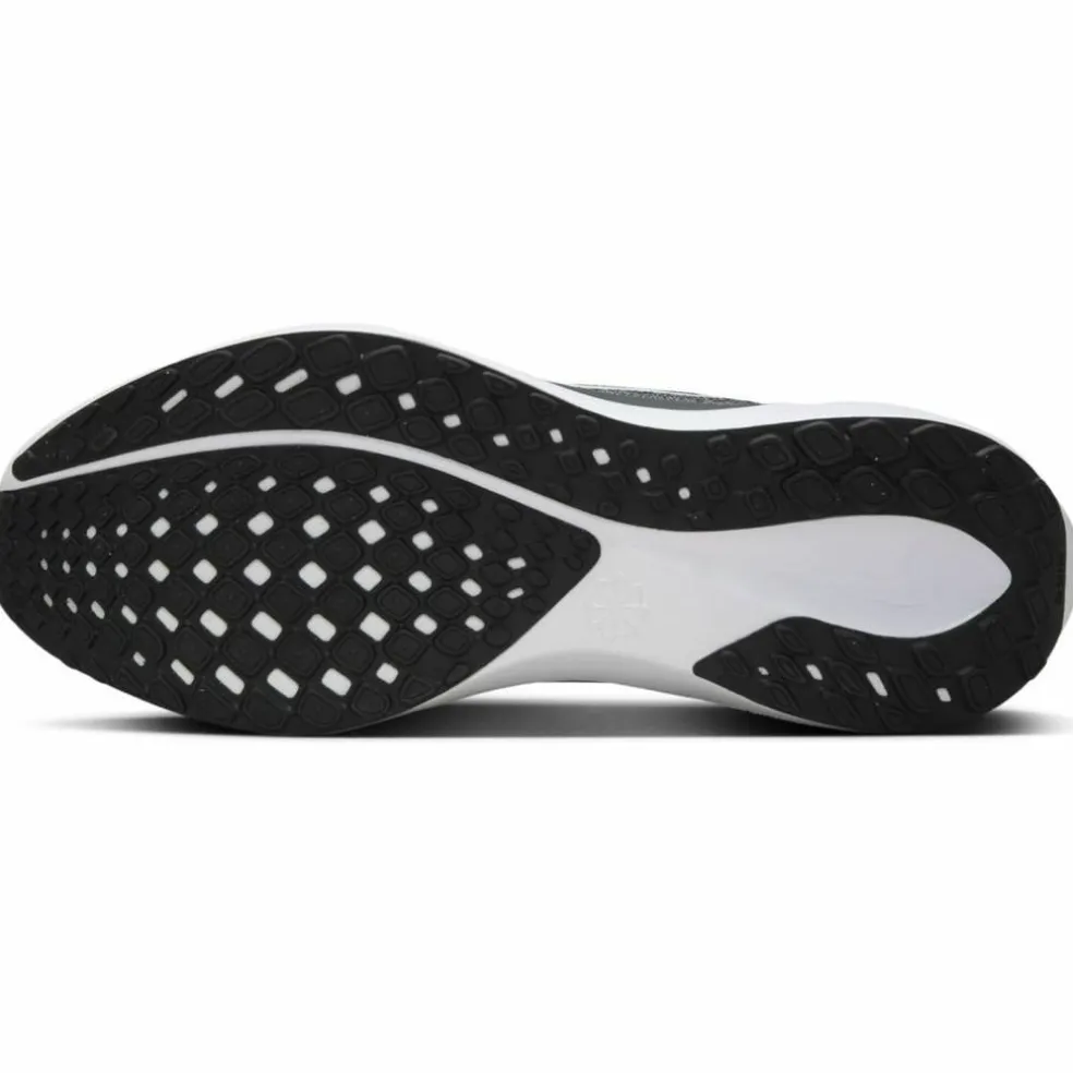 Pegasus 41 Road Herren Laufschuhe