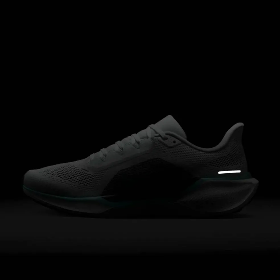 Pegasus 41 Road Herren Laufschuhe