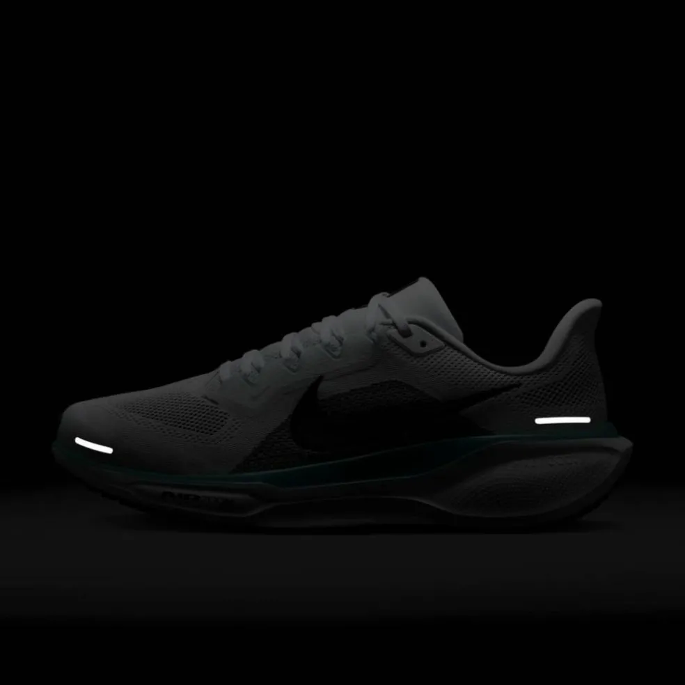 Pegasus 41 Road Herren Laufschuhe