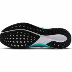 Pegasus 41 Road Herren Laufschuhe