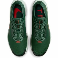 Pegasus Trail 5 GTX Waterproof Trail Herren Laufschuhe
