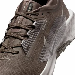Pegasus Trail 5 GTX Waterproof Trail Herren Laufschuhe