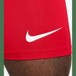 Pro Dri-Fit Strike Herren Teamhose