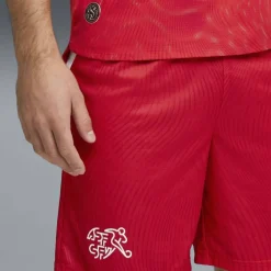 Schweiz Replica Herren Shorts