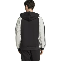 Seasonal Essentials Colorblock Herren Kapuzensweater