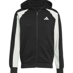 Seasonal Essentials Colorblock Herren Kapuzensweater