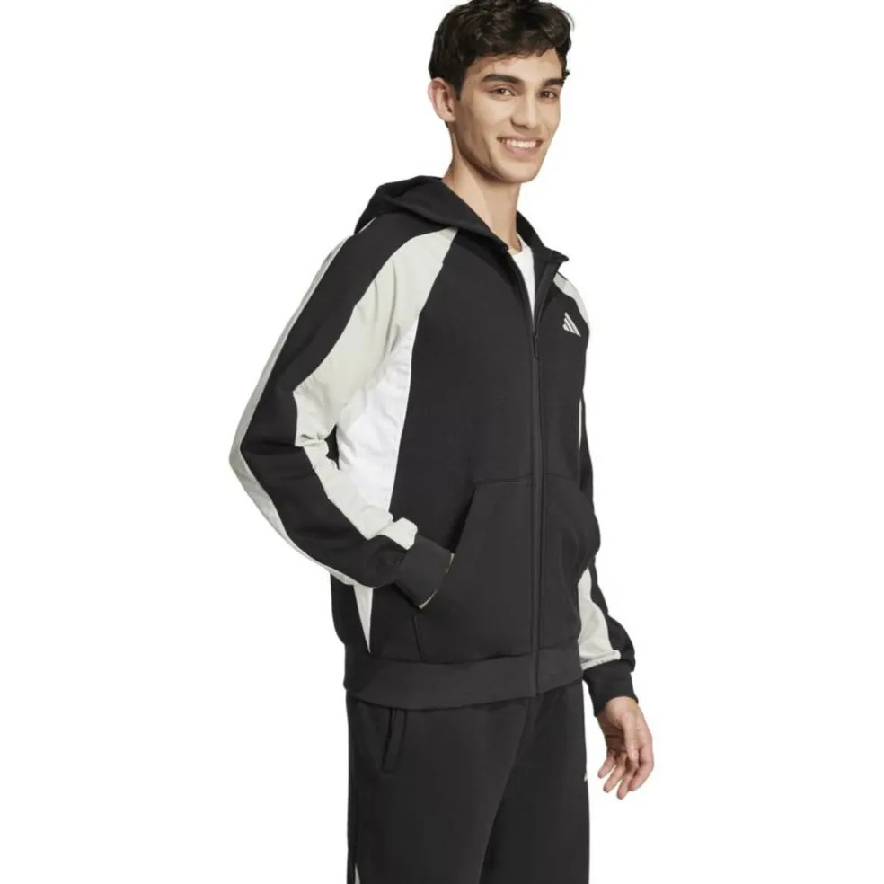 Seasonal Essentials Colorblock Herren Kapuzensweater