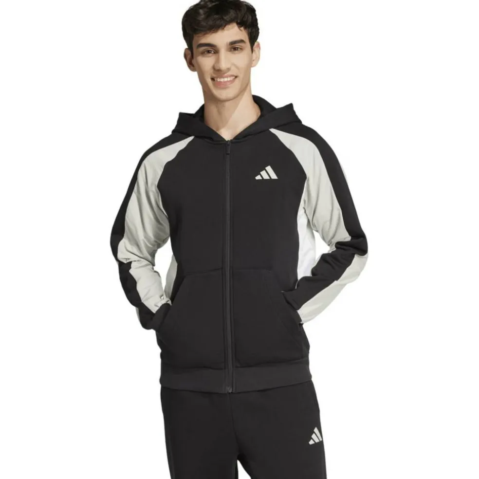 Seasonal Essentials Colorblock Herren Kapuzensweater