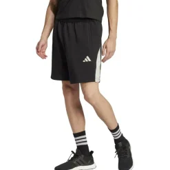 Seasonal Essentials Colorblock Herren Shorts