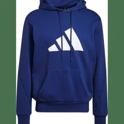 Sportswear Future Icons Logo Graphic Hoodie Herren Kapuzensweater
