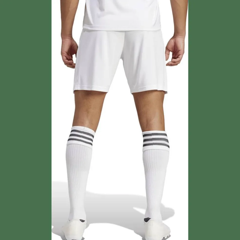 Squadra 21 Herren Shorts