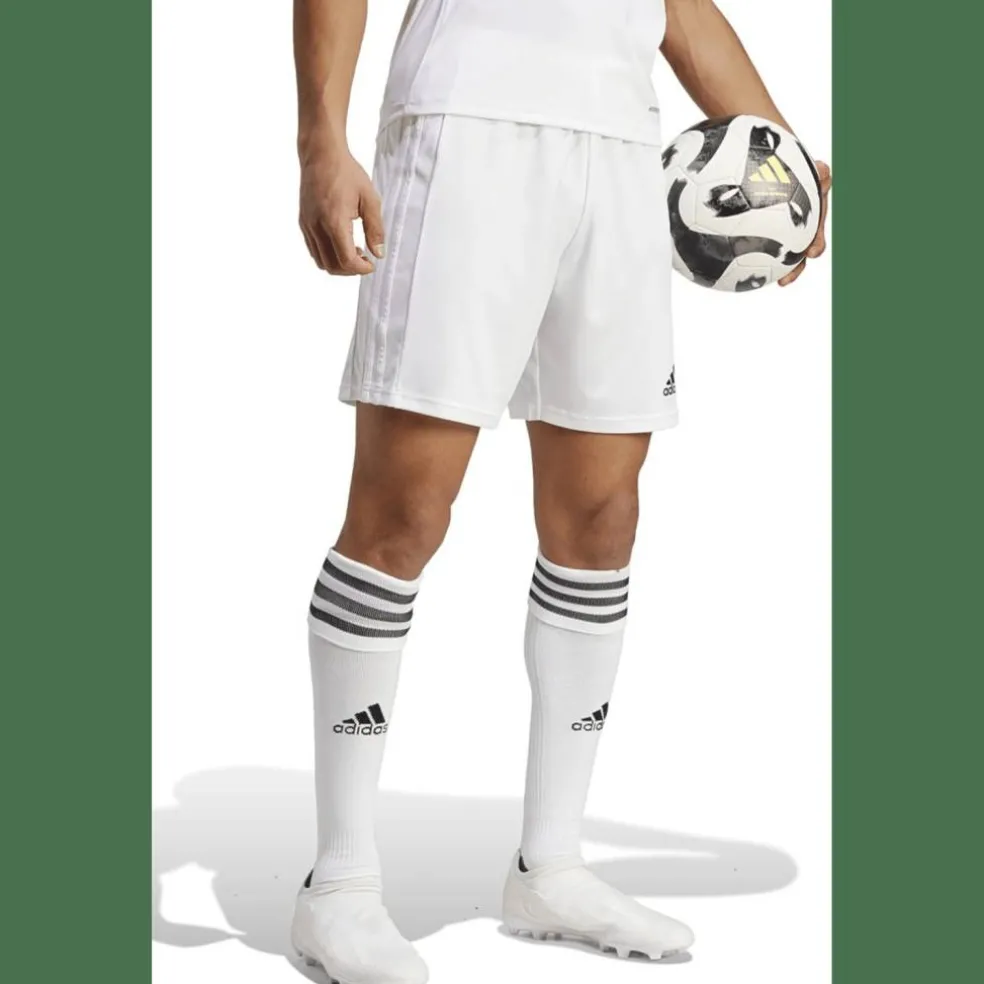 Squadra 21 Herren Shorts