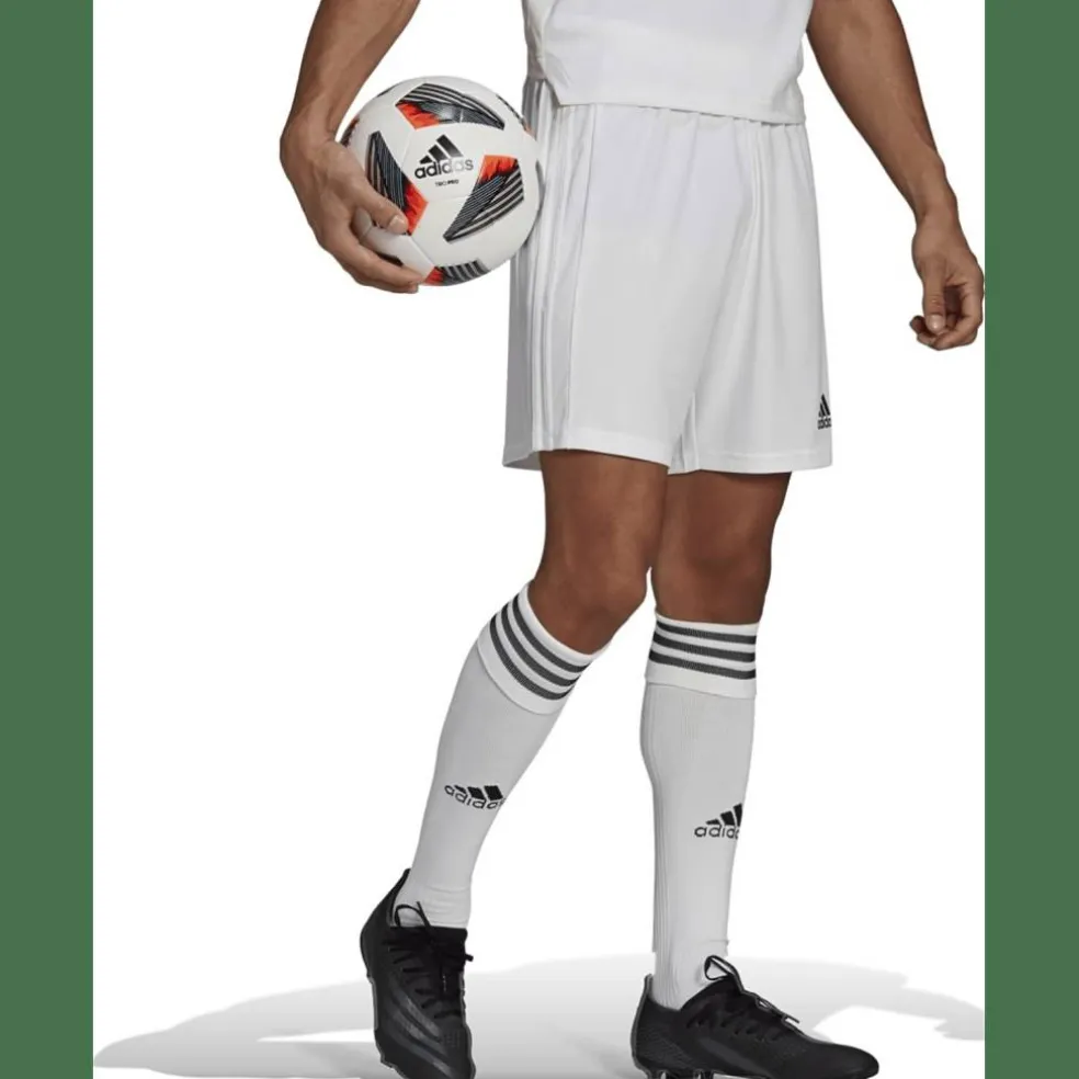Squadra 21 Herren Shorts