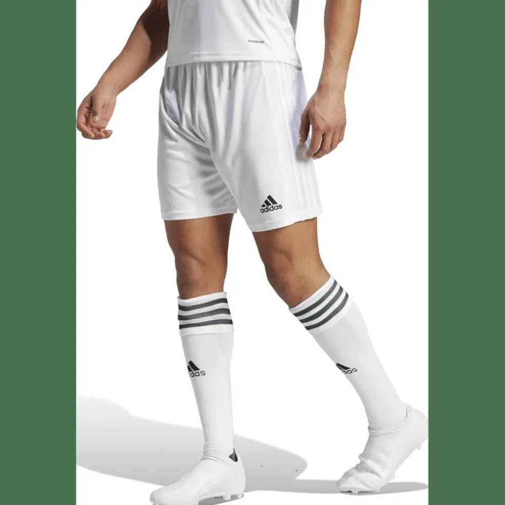 Squadra 21 Herren Shorts