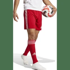 Squadra 21 Herren Shorts