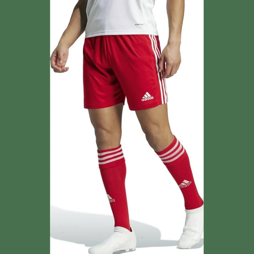 Squadra 21 Herren Shorts