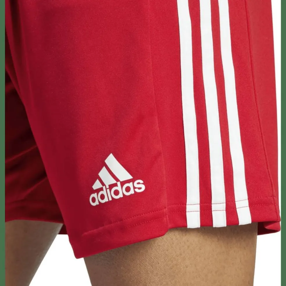 Squadra 21 Herren Shorts