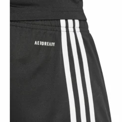 Squadra 25 Herren Shorts