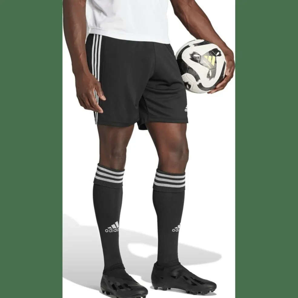 Squadra 21 Herren Shorts
