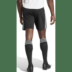 Squadra 21 Herren Shorts