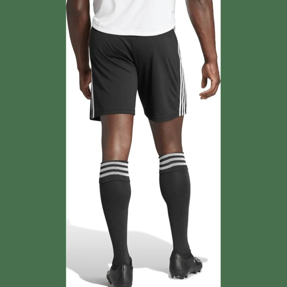 Squadra 21 Herren Shorts