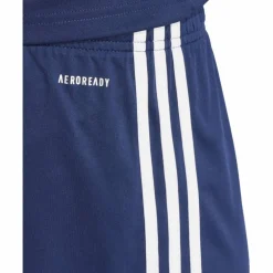 Squadra 25 Herren Shorts