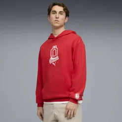 Österreich Ftblculture Relaxed Herren Kapuzensweater