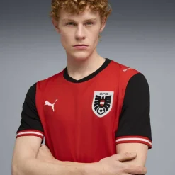 Österreich Home Replica Herren T-Shirt