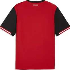 Österreich Home Replica Herren T-Shirt