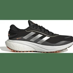 Supernova GORE-TEX Schuh Herren Laufschuhe