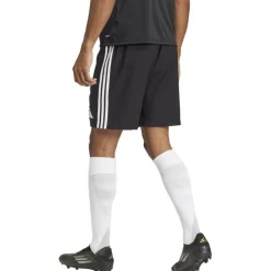 Tastigo 25 Herren Shorts