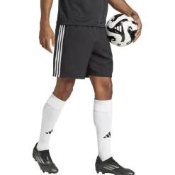 Tastigo 25 Herren Shorts