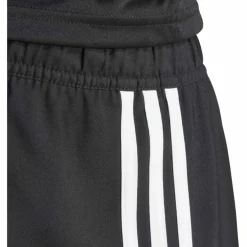 Tastigo 25 Herren Shorts