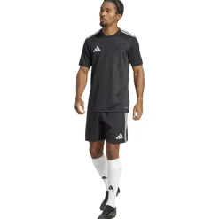 Tastigo 25 Herren Shorts