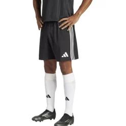 Tastigo 25 Herren Shorts