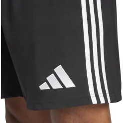 Tastigo 25 Herren Shorts