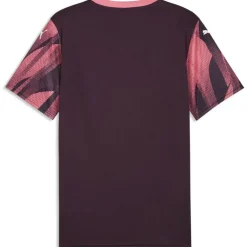 Teamfinal Graphic+ Herren T-Shirt