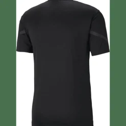 TeamFLASH Herren T-Shirt