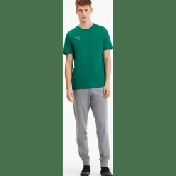TeamGOAL 23 Casuals Tee Herren T-Shirt