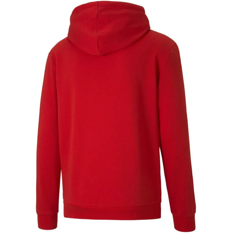 TeamGOAL 23 Causals Herren Kapuzensweater