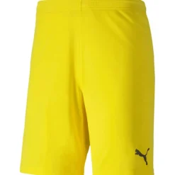 teamGOAL 23 knit Herren Shorts