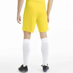 teamGOAL 23 knit Herren Shorts