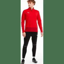 TeamGOAL 23 Training 1/4 Zip Top Herren Sweatshirt
