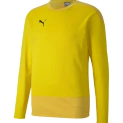 TeamGOAL 23 Training Sweat Herren Sweatshirt