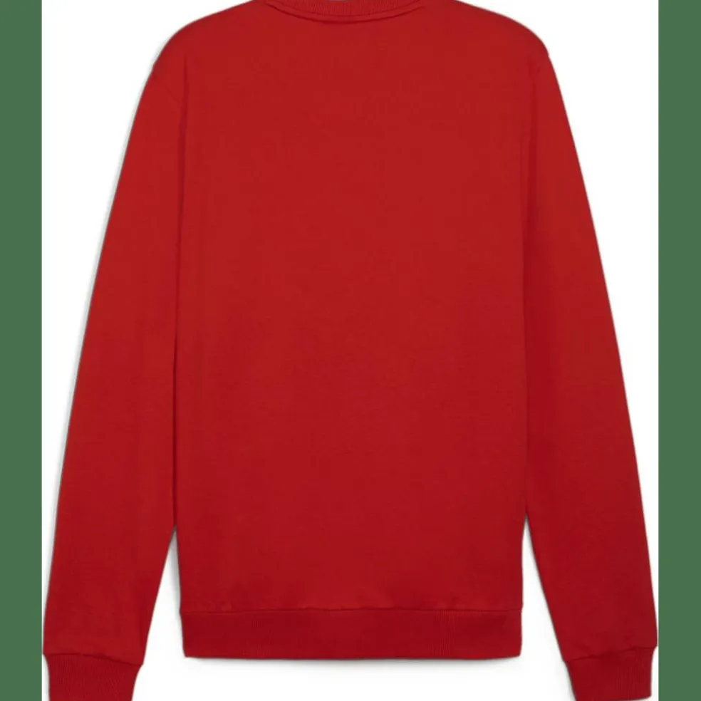 teamGOAL Casuals Crew Neck Herren Sweatshirt