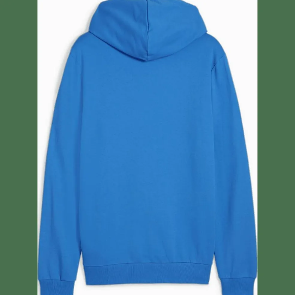 teamGOAL Casuals Hooded Herren Sweatshirt