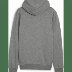 teamGOAL Casuals Hooded Herren Sweatshirt