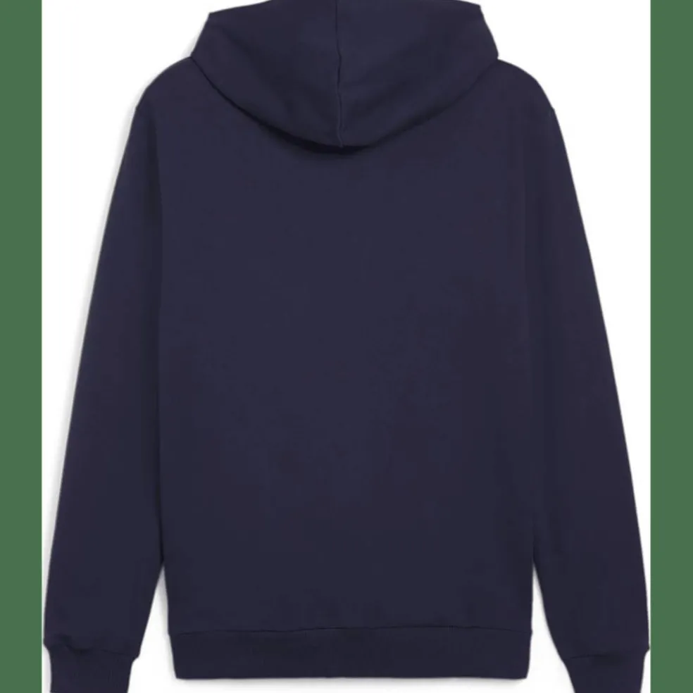 teamGOAL Casuals Hooded Herren Sweatshirt