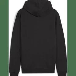 teamGOAL Casuals Hooded Herren Sweatshirt